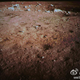 Illustration for article titled The Chinese Rovers First Moon Photos Are Here